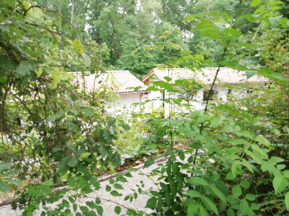 Pause Nature. Maison Ananda A 14 Kms De Toulouse Avec Parking Privatif Lapeyrouse-Fossat Экстерьер фото